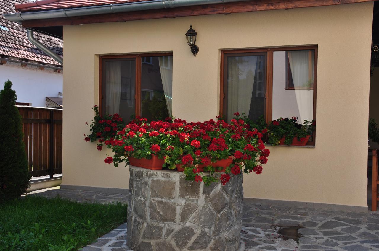 Vila Anna Malnas Bai Extérieur photo